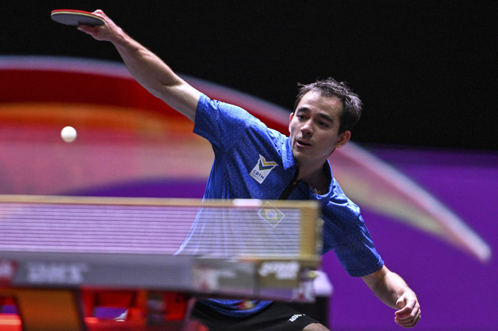 特吉的赞誉 特吉的赞誉