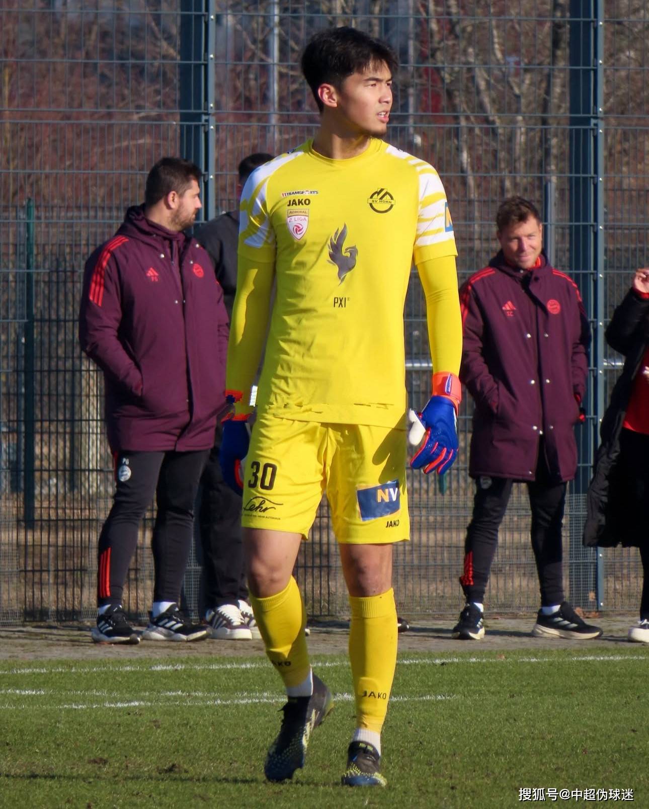 亚历山大的 亚历山大的