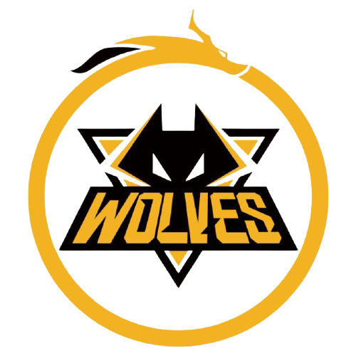 对手镜像 对手镜像